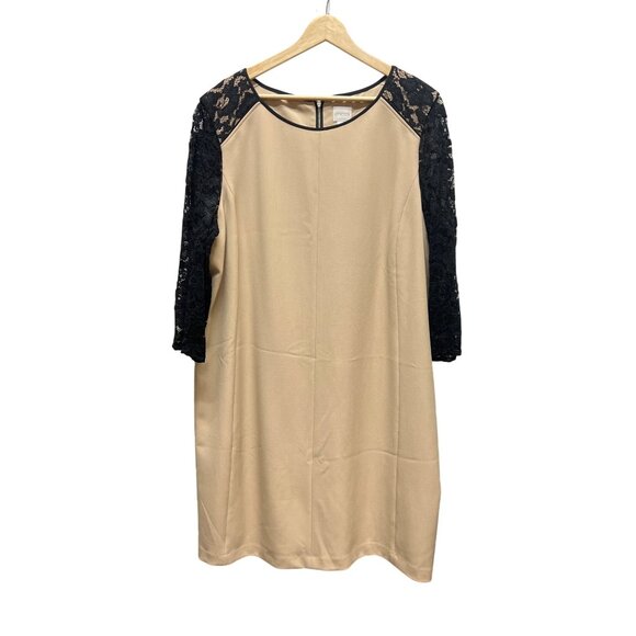 Chico's Neutral Sheath Dress with Black Lace Sleeves - Picture 2 of 7